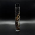 Bearded Dragon Wet Specimen