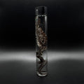 Baby Corn Snake Wet Specimen
