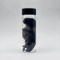 Rabbit Kit Wet Specimen - 003